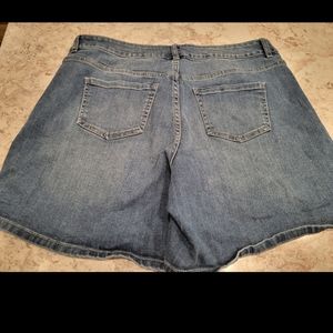 Lane bryant shorts